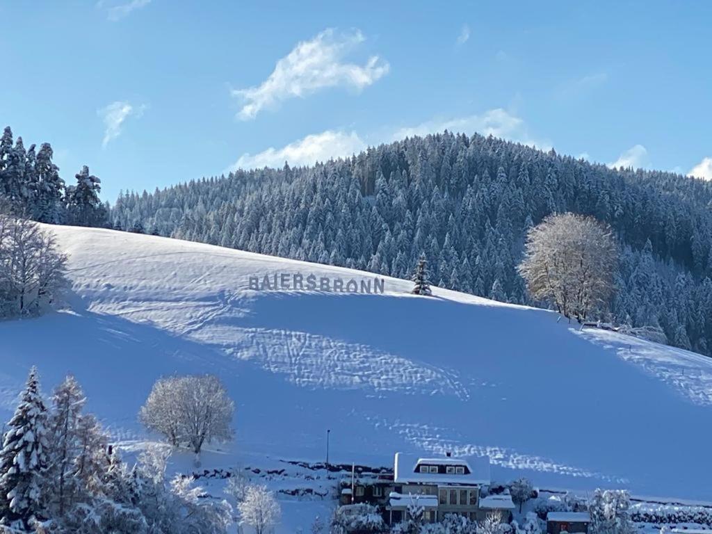 Hotel Hirsch